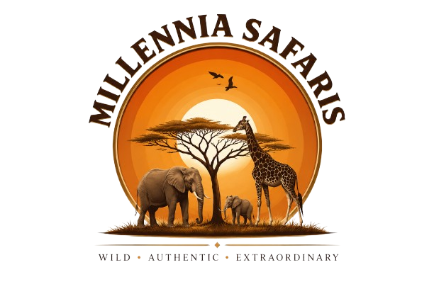 Millennia Safaris