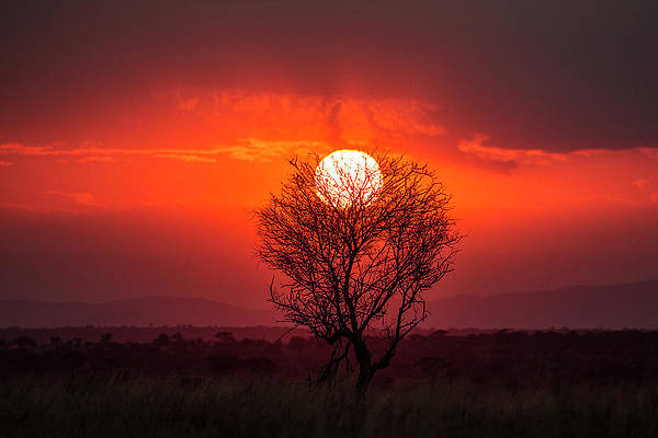 12- DAY FULL NORTHERN CIRCUIT