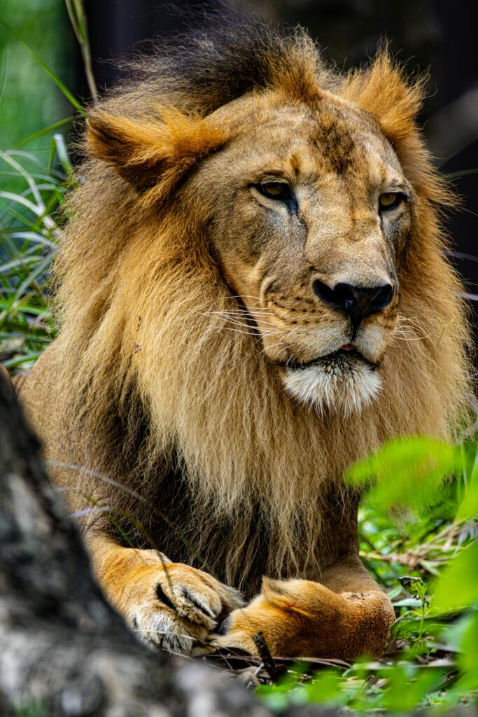 11 days explore culture and nature