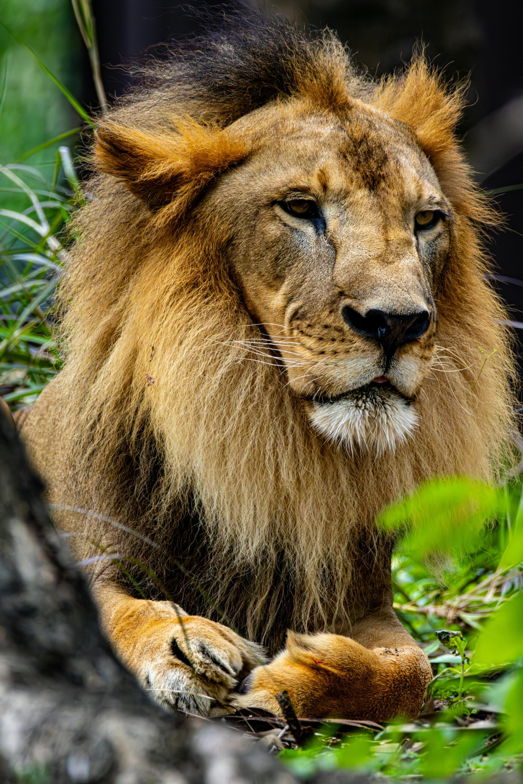 11 days explore culture and nature