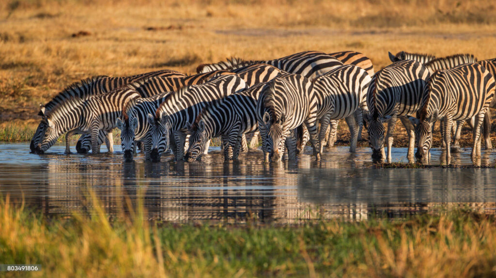 12 DAY FULL NORTHERN CIRCUIT