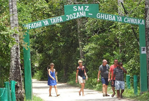 8 day safari and Zanzibar holiday